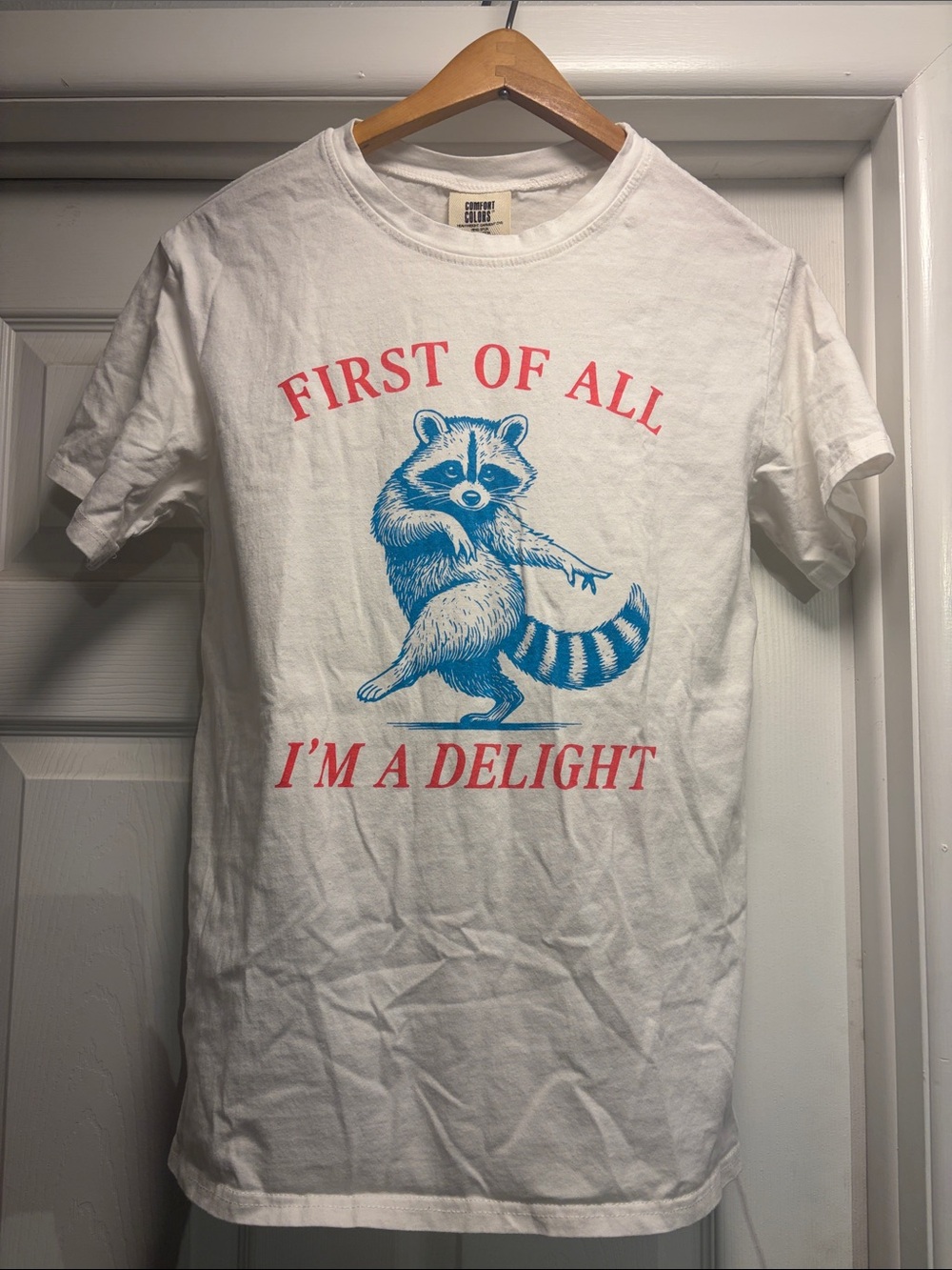 Raccoon Graphic Tee 100% cotton sz M